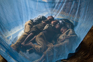 Mamo Tesfaye's four children sleep under insecticide-treated nets to prevent bites from malaria-infected mosquitoes.