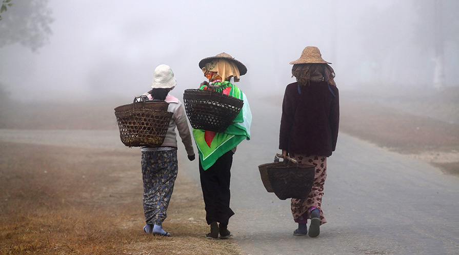Asian women carrying baskets on foggy path, photo from behind
