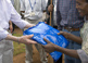 President and Mrs. Carter give a long-lasting insecticidal bed net, which prevents malaria, to Mrs. Hlmenlike, who hosted the Carters in her home during their tour of the Center's health work in the remote village of Afeta in southwest Ethiopia.