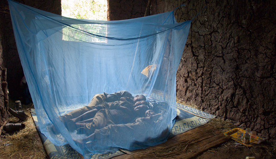 Malaria Control Program