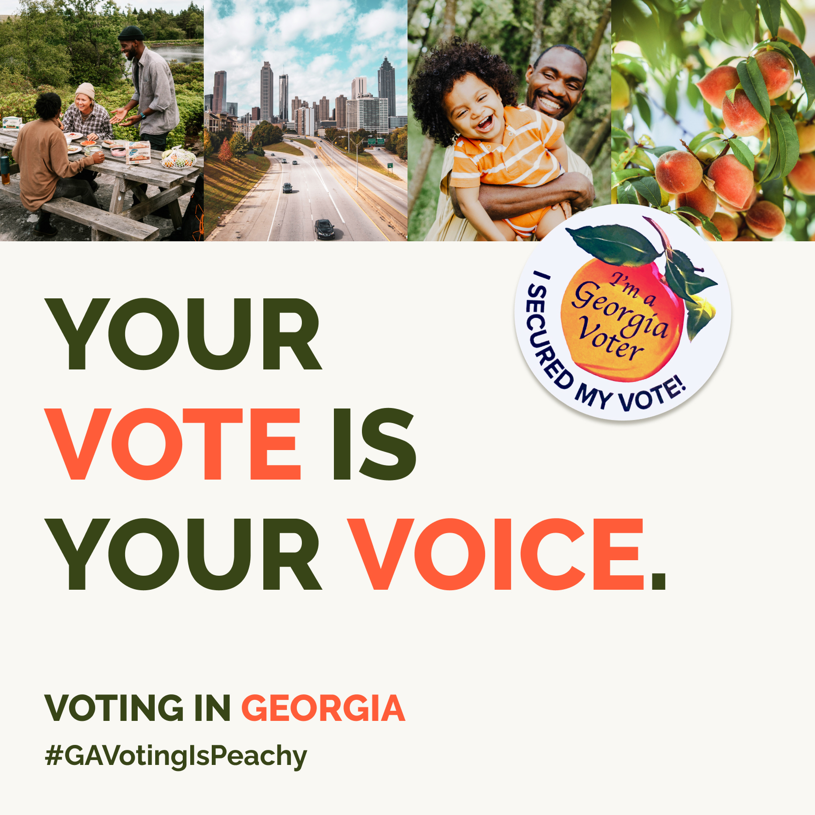 Georgia-Voter-Promo.jpg